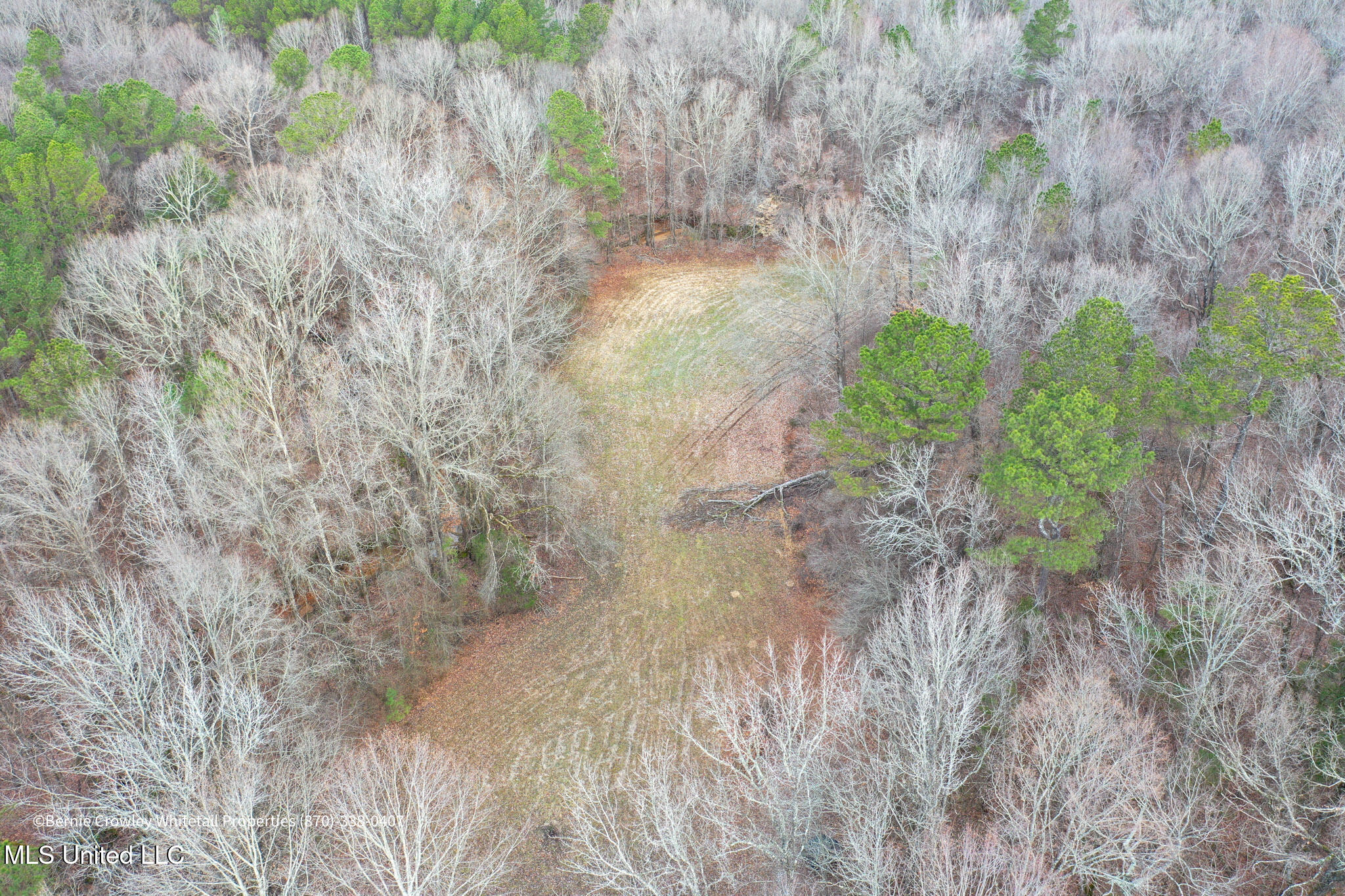 Enid Dam Rd Road Pope, MS 38658 - Photo 38 of 43 Panola 58.5 MLS -38
