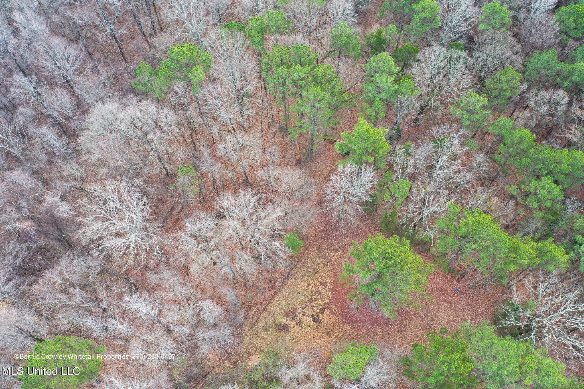 Enid Dam Rd Road Pope, MS 38658 - Photo 39 of 43 Panola 58.5 MLS -40