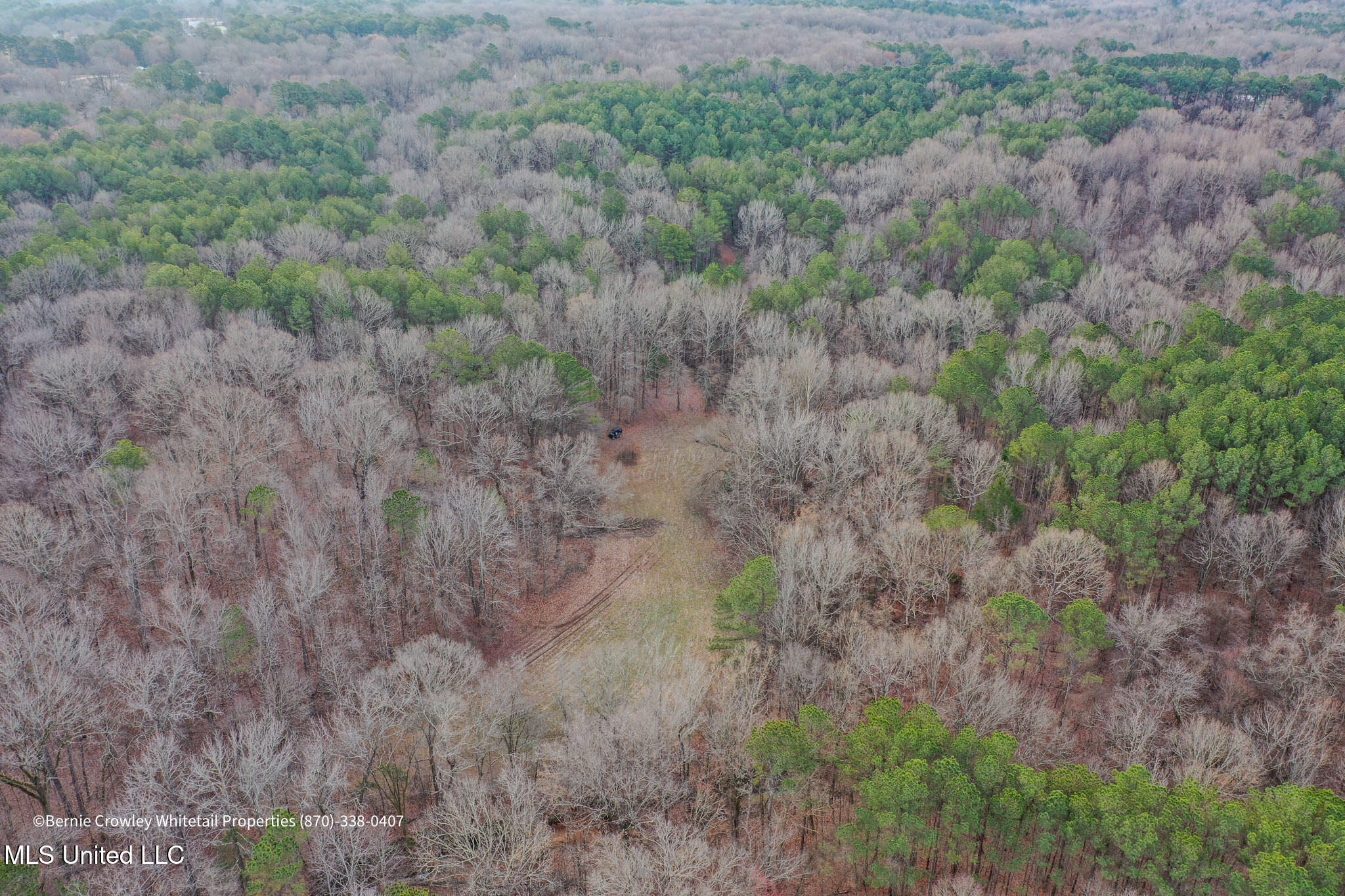 Enid Dam Rd Road Pope, MS 38658 - Photo 40 of 43 Panola 58.5 MLS -39