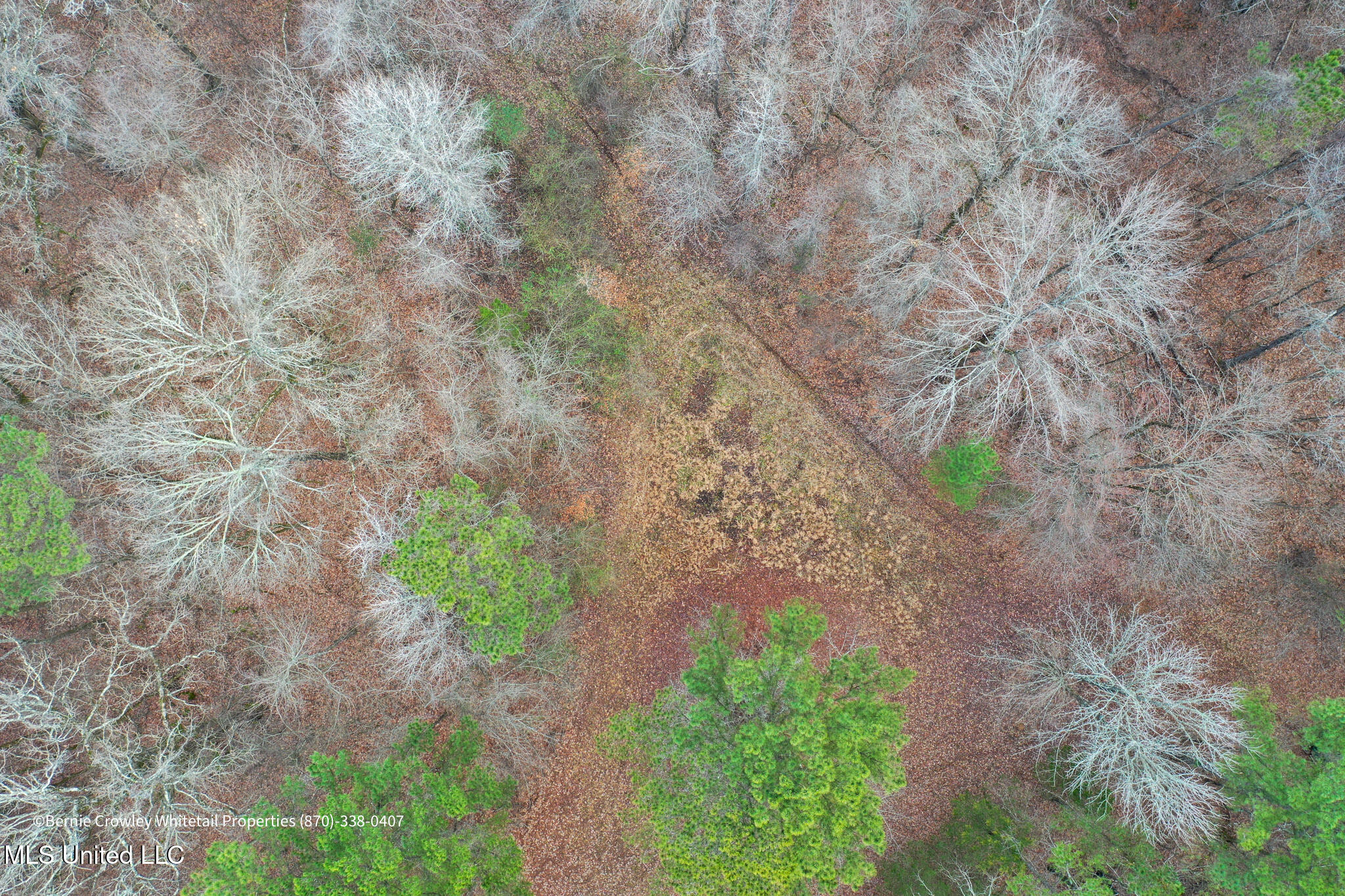 Enid Dam Rd Road Pope, MS 38658 - Photo 5 of 43 Panola 58.5 MLS -04
