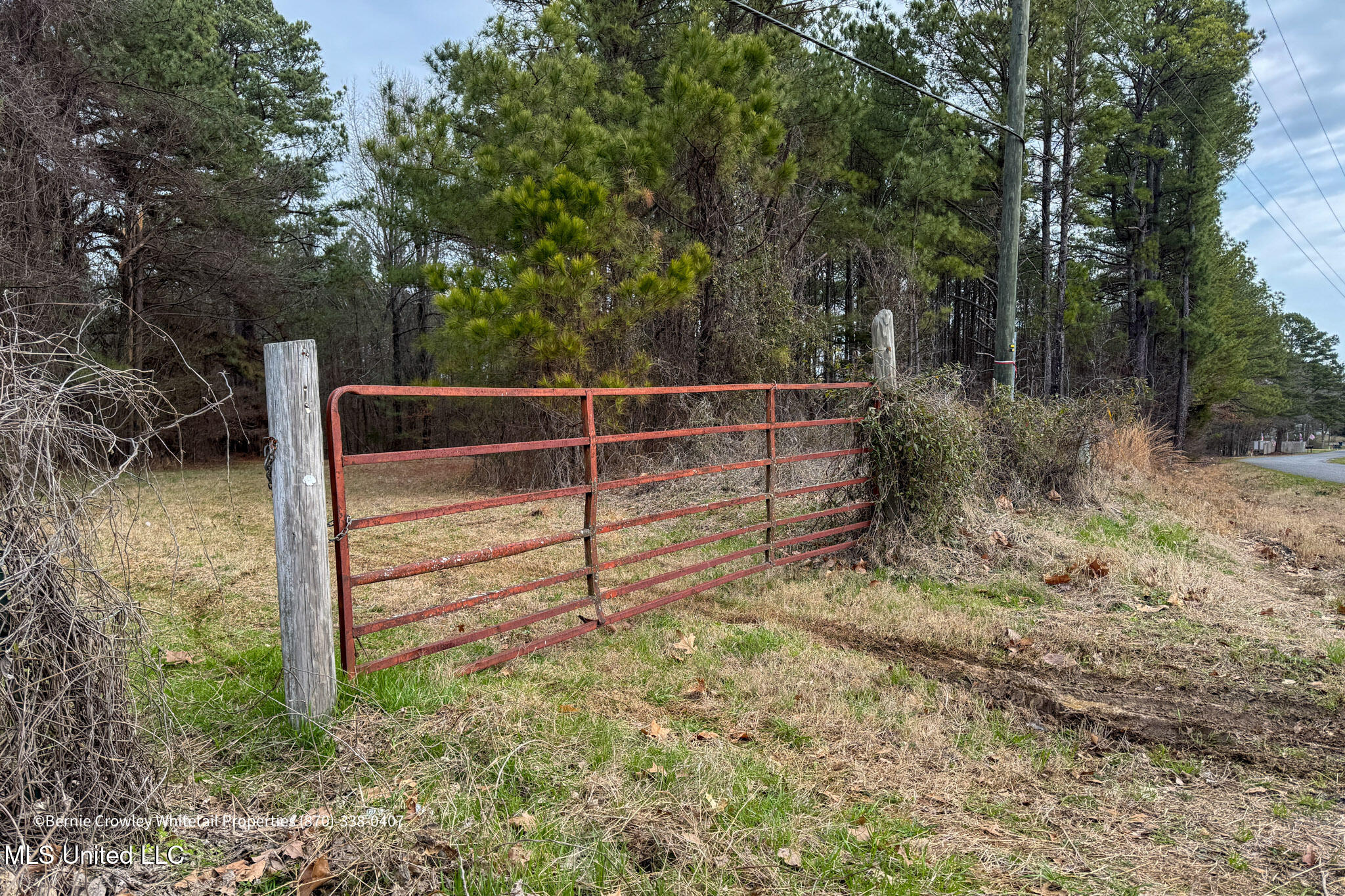 Enid Dam Rd Road Pope, MS 38658 - Photo 8 of 43 Panola 58.5 MLS -08