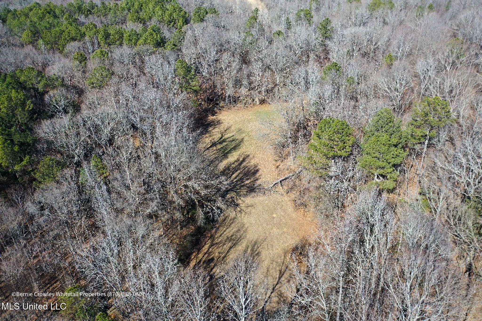 Enid Dam Rd Road Pope, MS 38658 - Photo 10 of 43 Panola 58.5 MLS -10