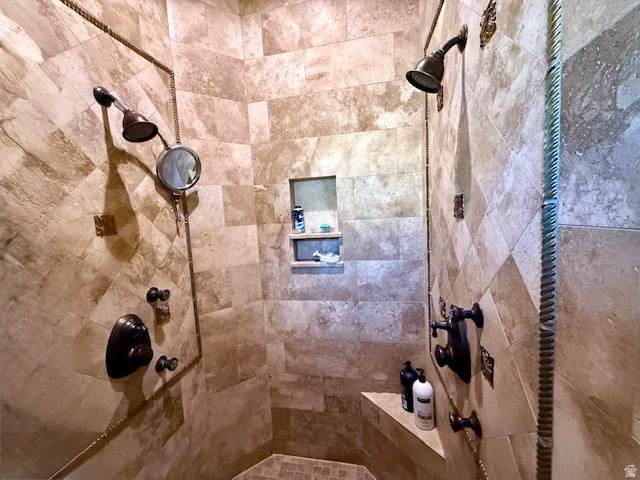 753 Sierra View Drive Mapleton, UT 84664 - Photo 20 of 58 Bathroom featuring a tile shower