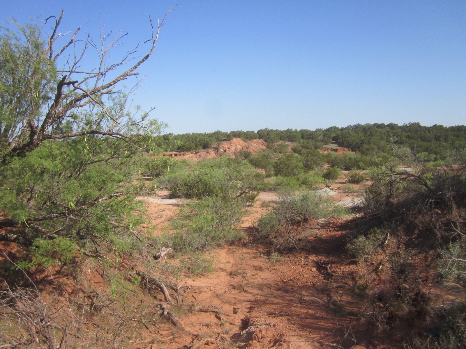 Nka Buckle L Road Childress, TX 79201 - Photo 16 of 18