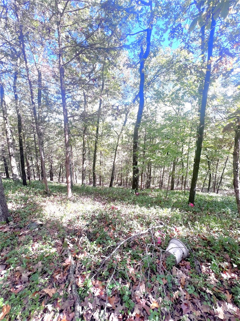 5555 Highway 282 Rudy, AR 72952 - Photo 22 of 26 Land