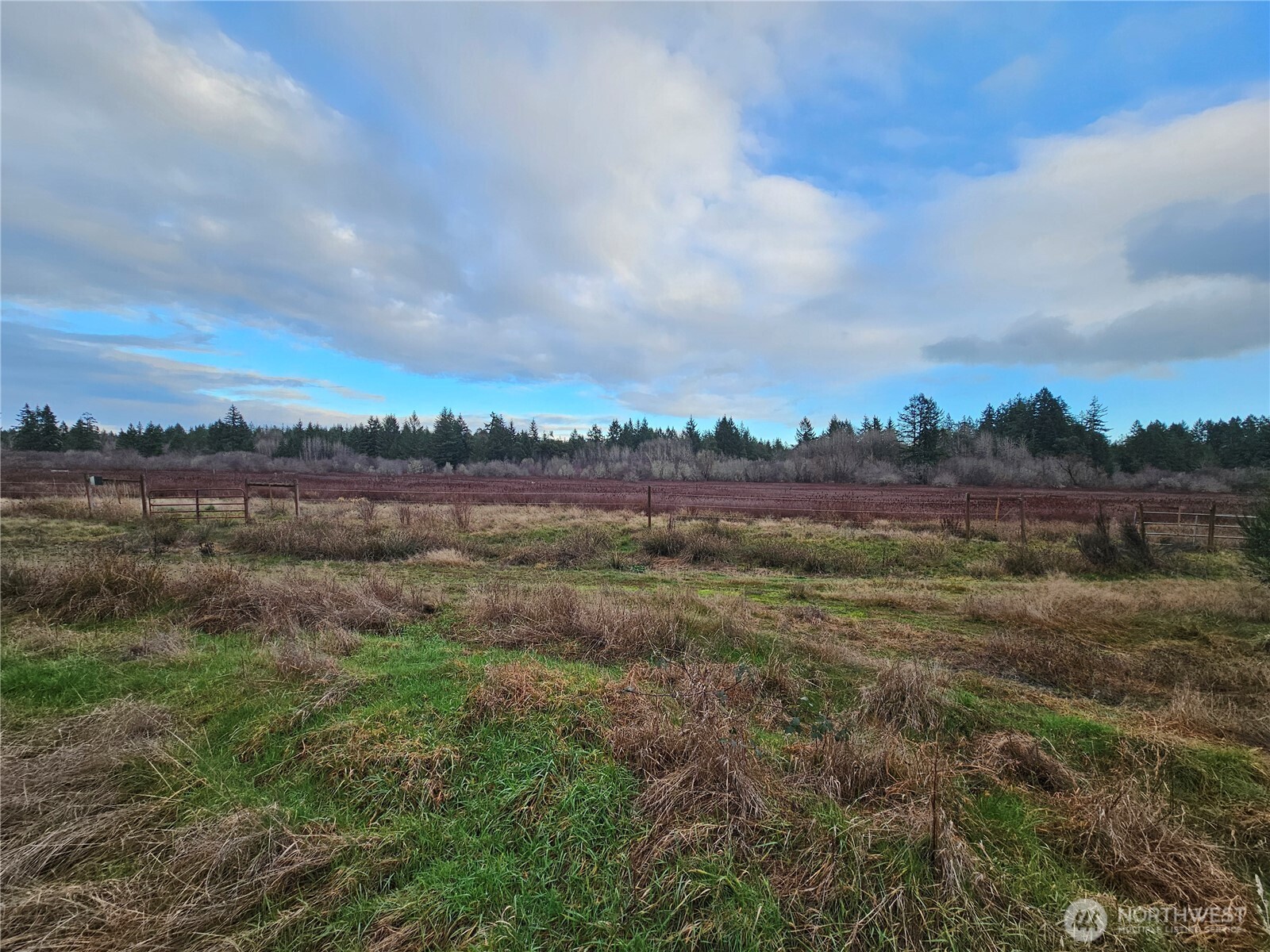 206 184th Avenue Southwest Lakebay, WA 98349 - Photo 4 of 7 a view of an outdoor space and a yard