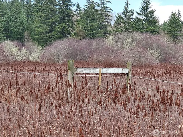 a view of a yard with wooden fence