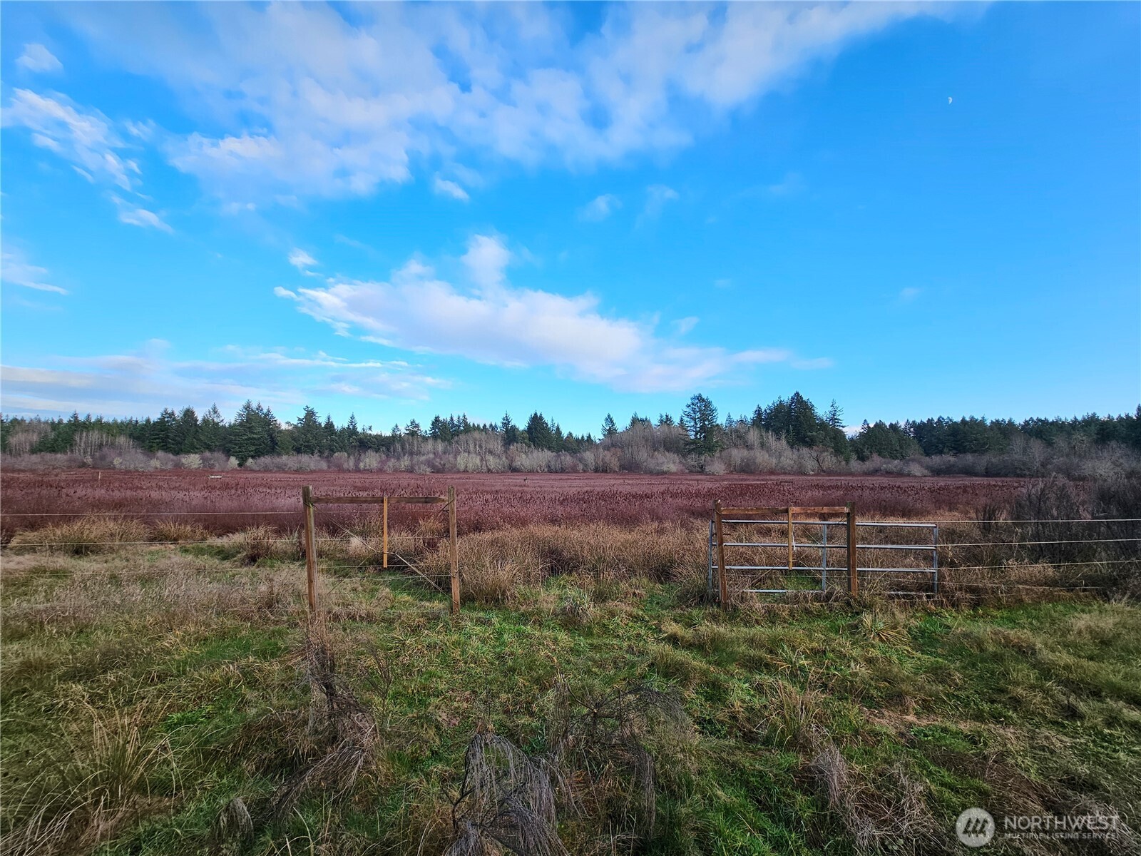 206 184th Avenue Southwest Lakebay, WA 98349 - Photo 6 of 7 a view of a yard with wooden fence