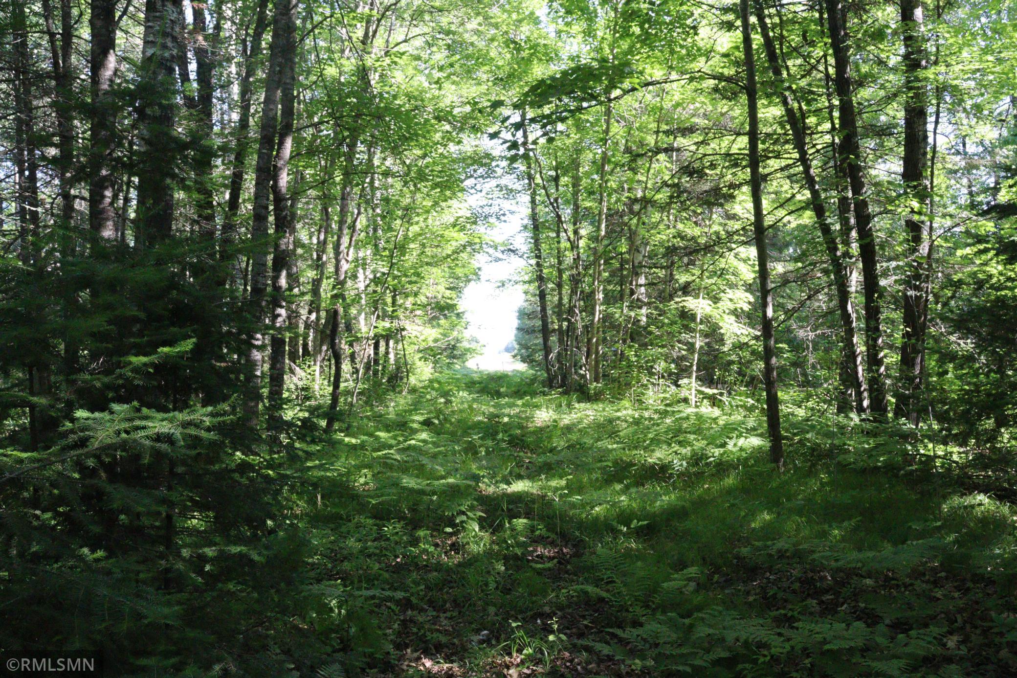 Tbd Sawmill Road Kerrick, MN 55756 - Photo 6 of 6