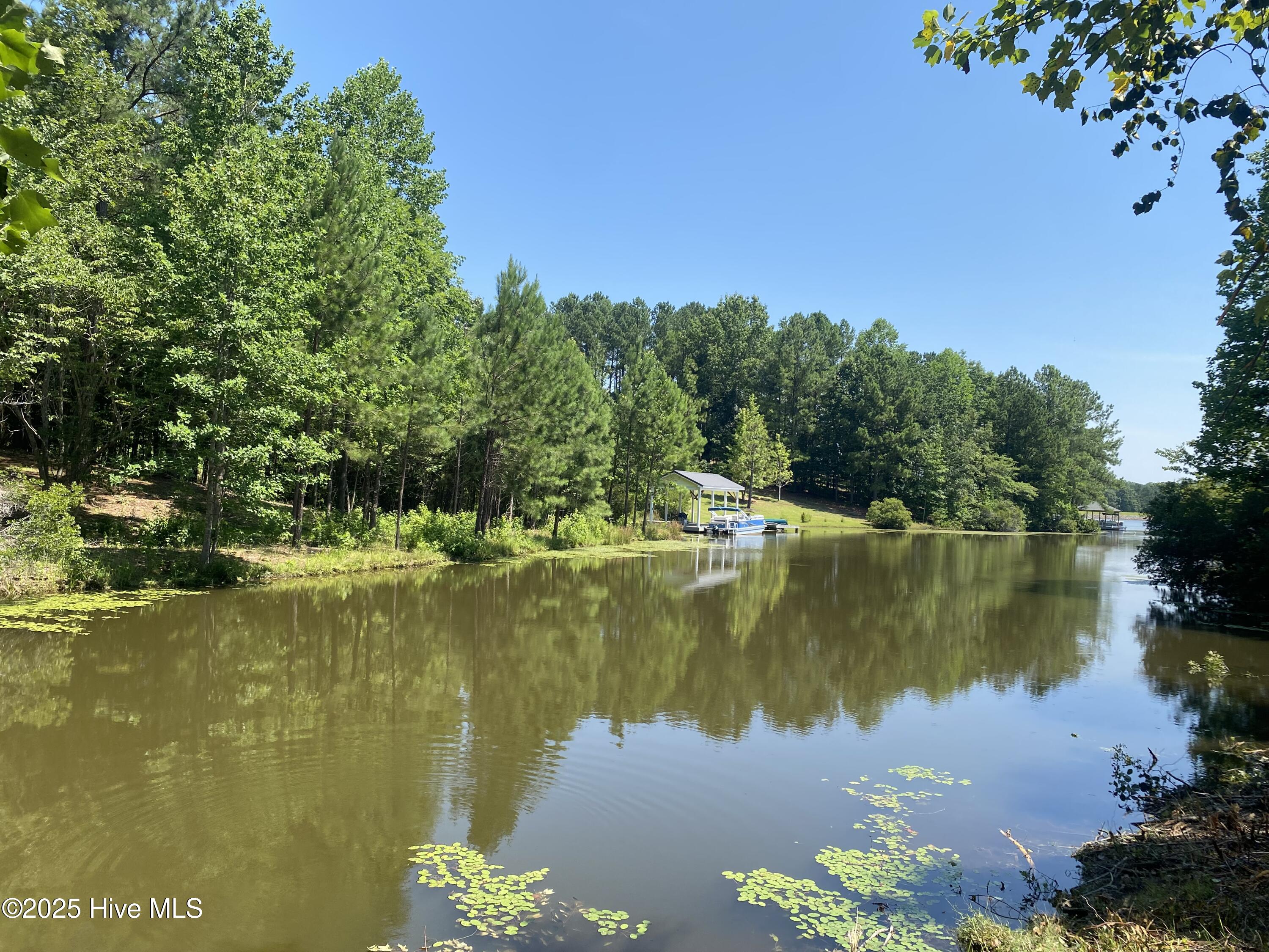 291 Gails Road West End, NC 27376 - Photo 7 of 10 lake view
