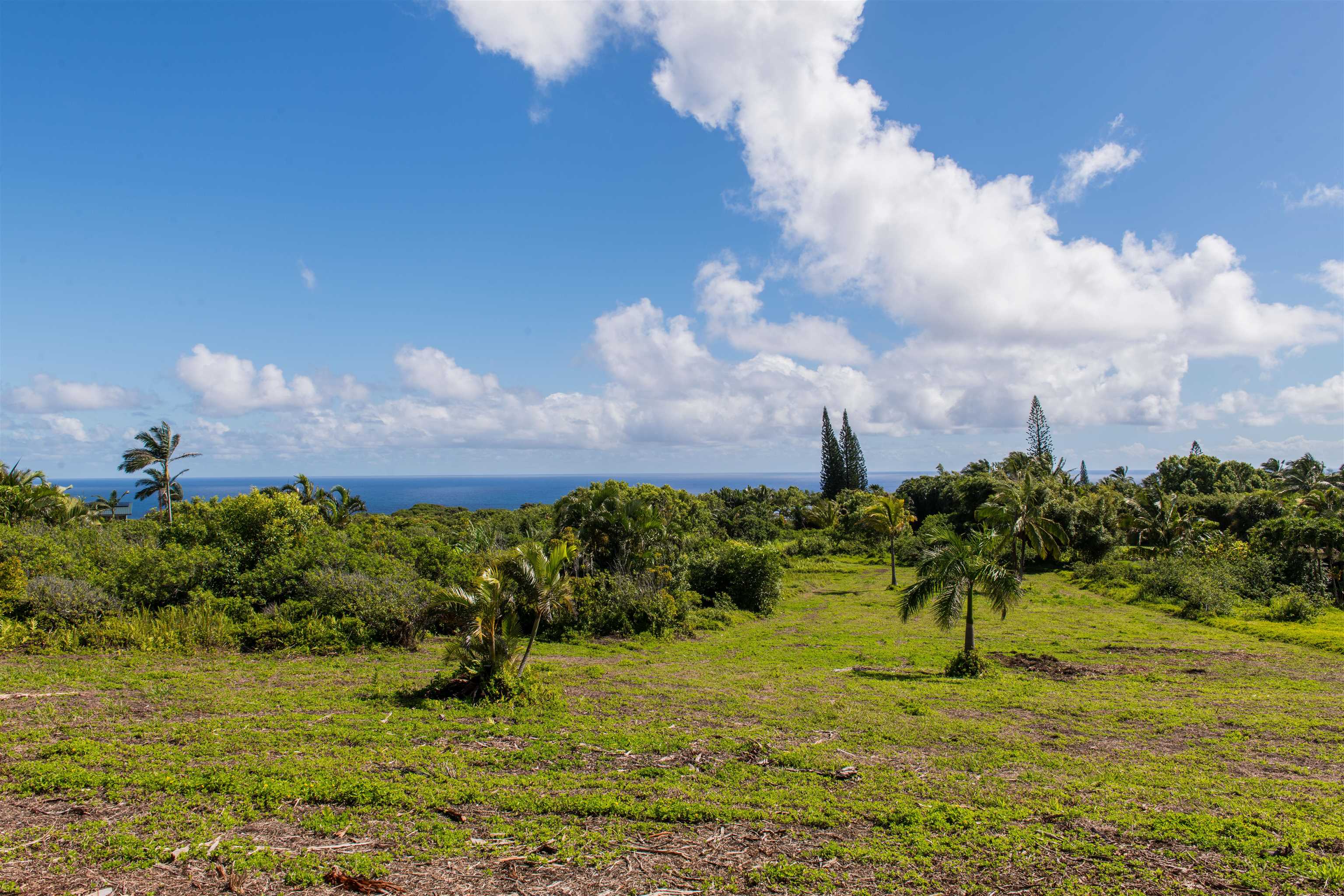 601 North Honokala Road, Unit A Haiku, HI 96708 - Photo 12 of 26