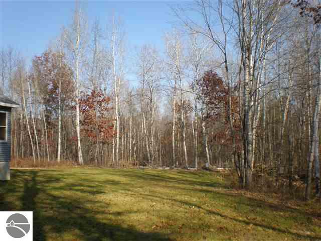3801 Seeley Road Lake City, MI 49651 - Photo 9 of 13 1698475-8.JPG