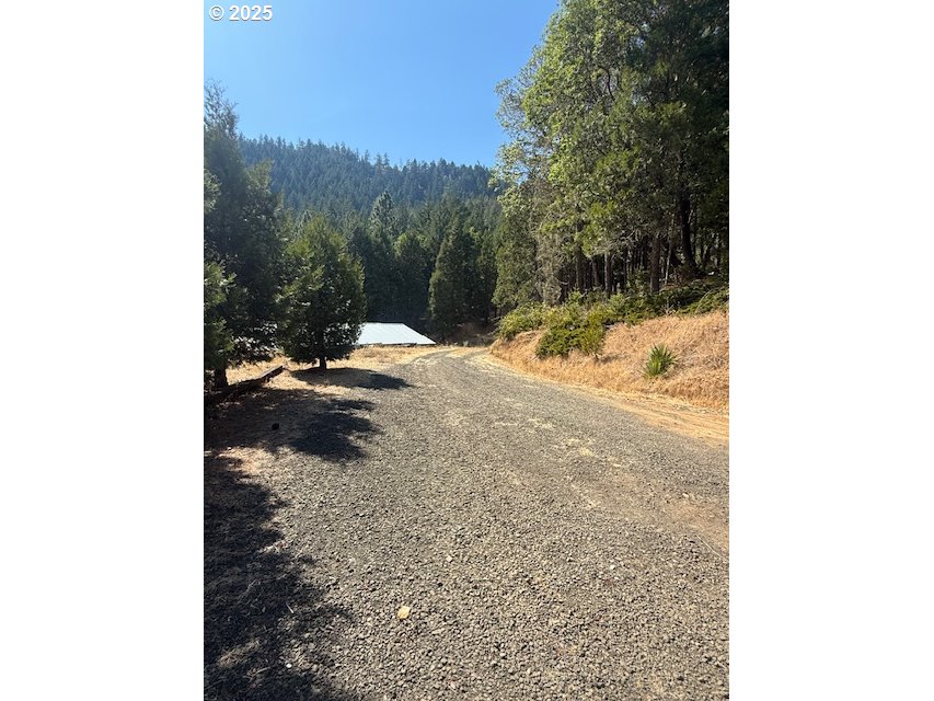 1604 Spring Brook Road Myrtle Creek, OR 97457 - Photo 31 of 43 Driveway