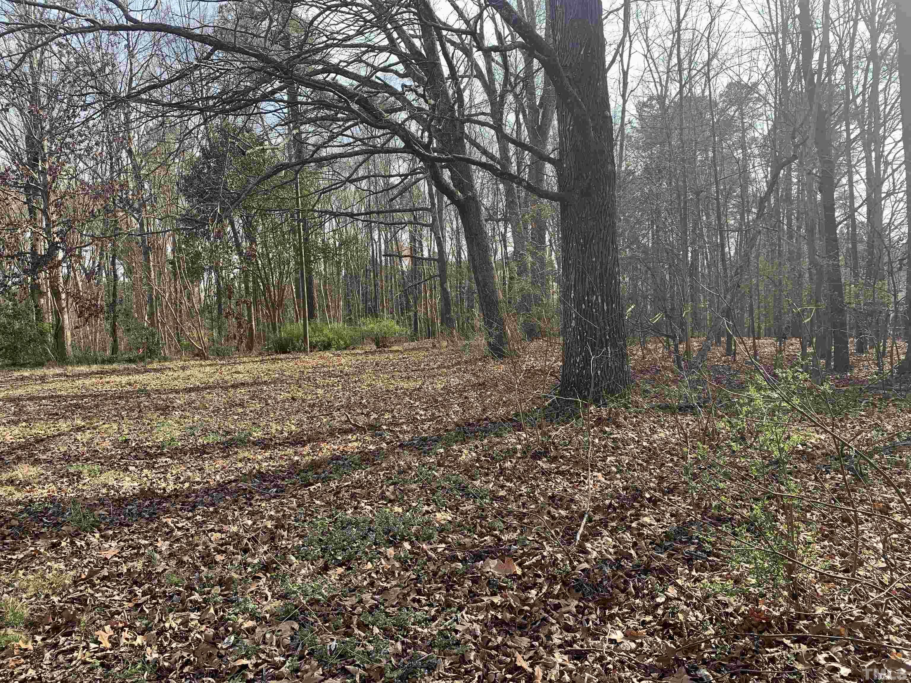 5612 Barbee Road Durham, NC 27713 - Photo 4 of 12