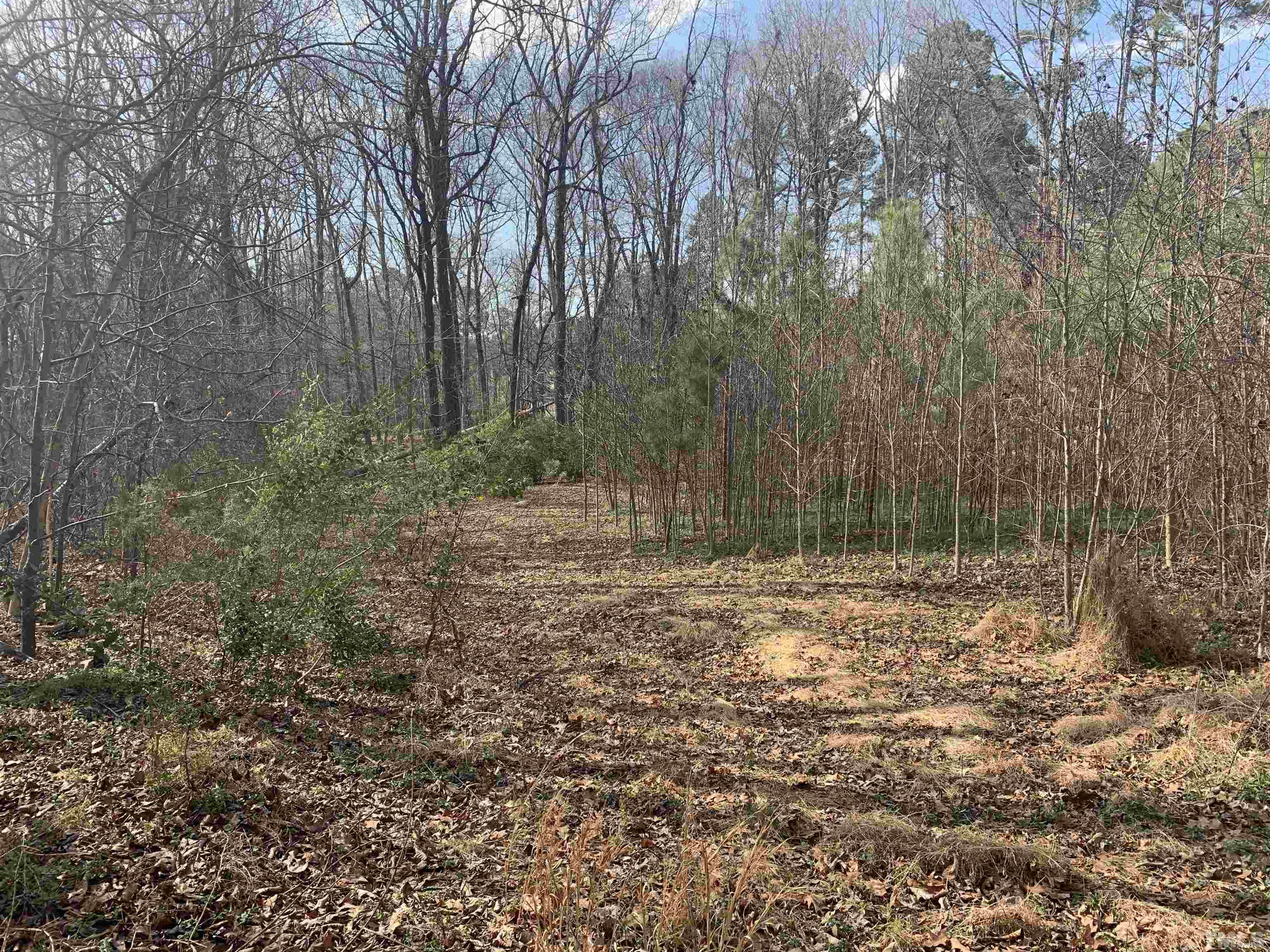 5612 Barbee Road Durham, NC 27713 - Photo 5 of 12