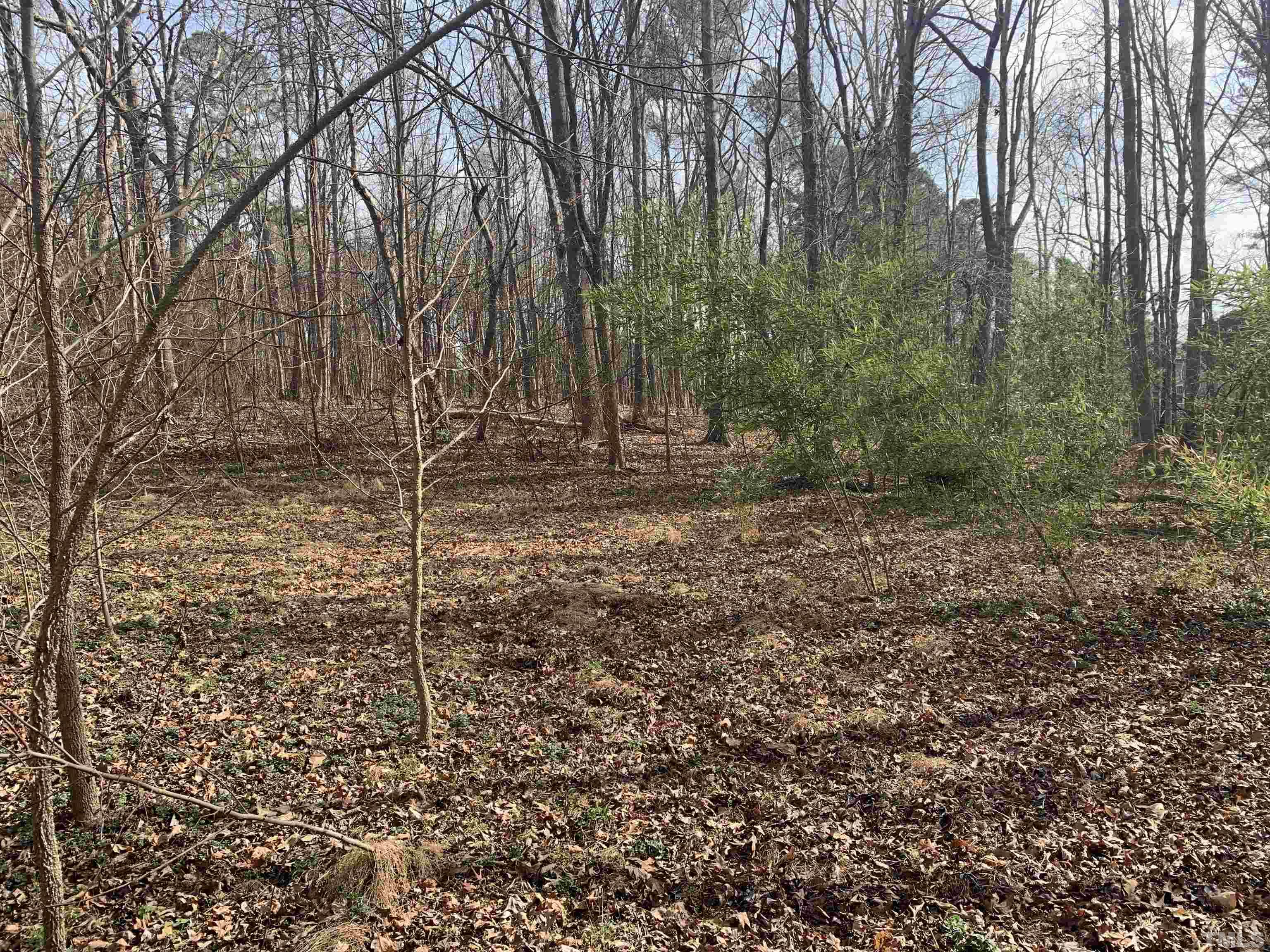 5612 Barbee Road Durham, NC 27713 - Photo 6 of 12