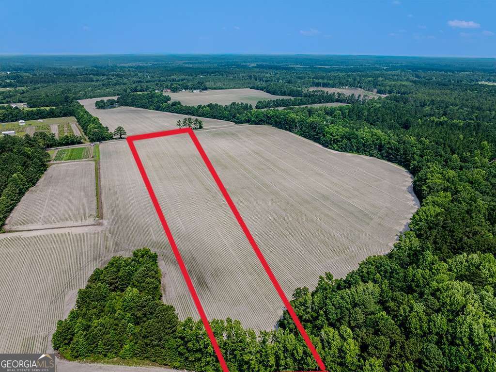 0 Ingram Road Springfield, GA 31329 - Photo 1 of 1 a view of a backyard with plants and pool