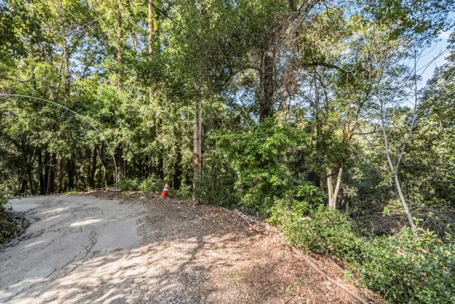 a view of a plants with trees in the background