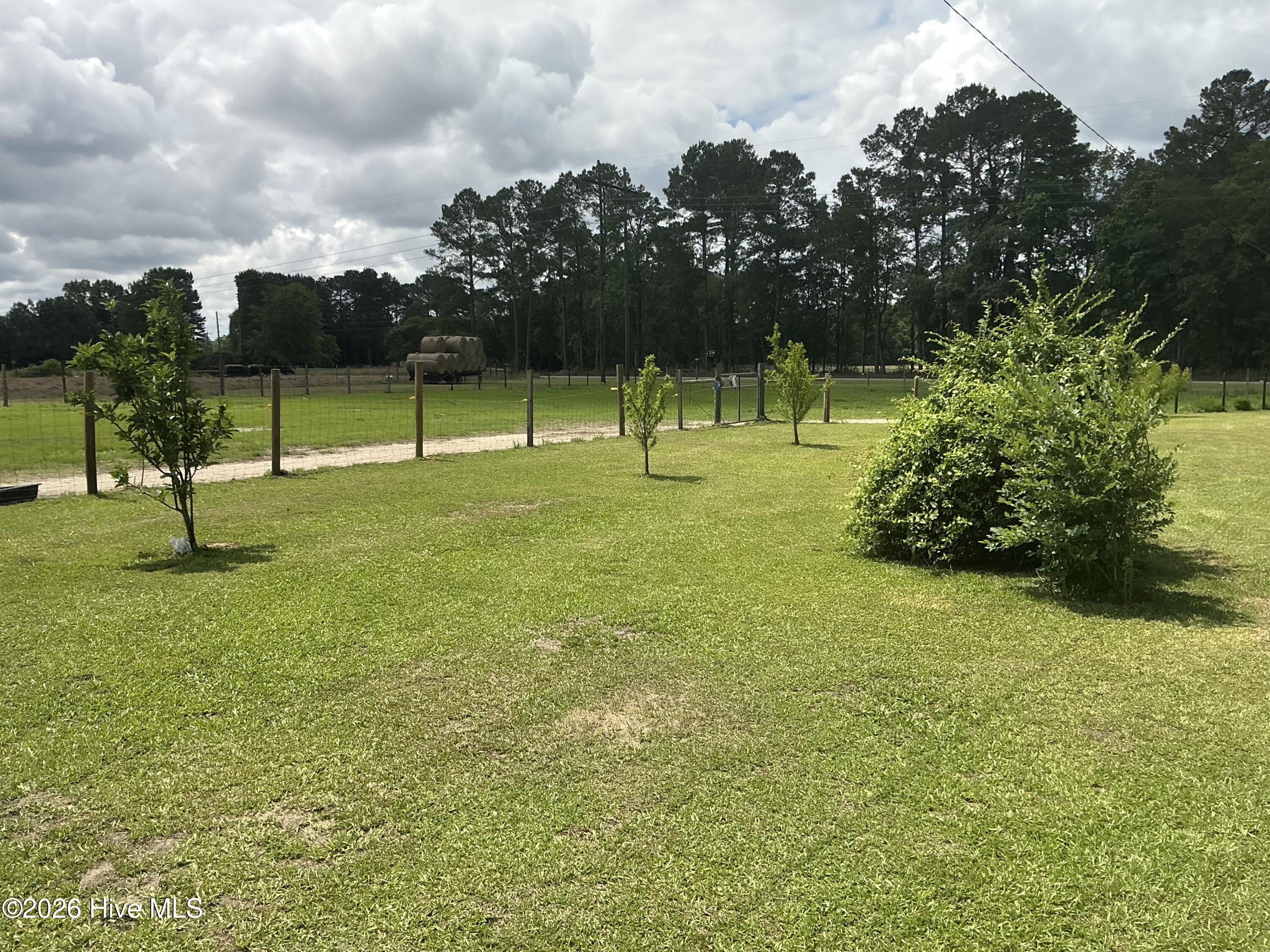 1262 Richardson Road Bladenboro, NC 28320 - Photo 26 of 46 IMG_1237