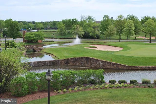 a view of a lake with a big yard and a large trees