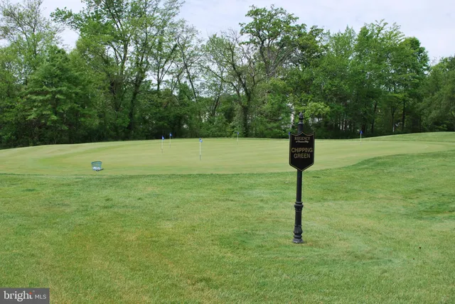 a view of a field with a tree
