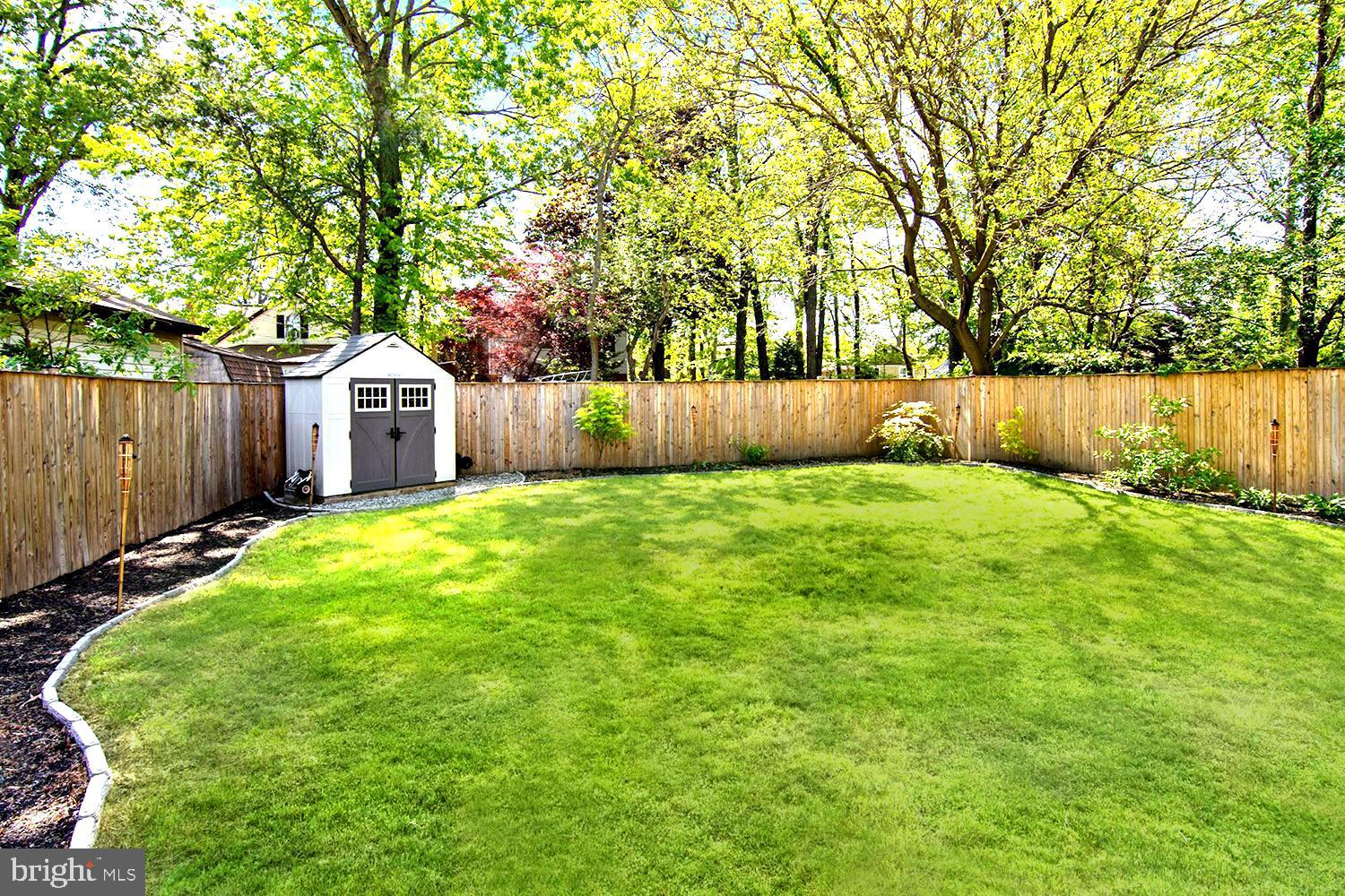 458 Riverside Drive Pasadena, MD 21122 - Photo 23 of 35 Yard Enveloped by Trees . Detached Storage Shed