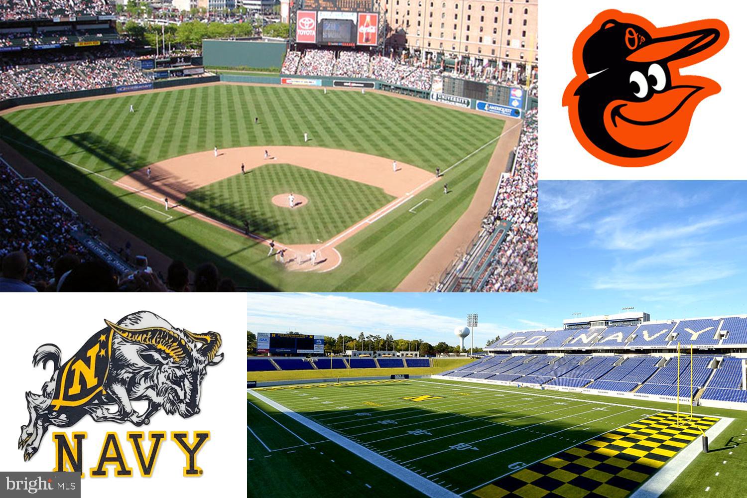 458 Riverside Drive Pasadena, MD 21122 - Photo 34 of 35 Cheer for Both the Orioles and Navy Midshipmen!