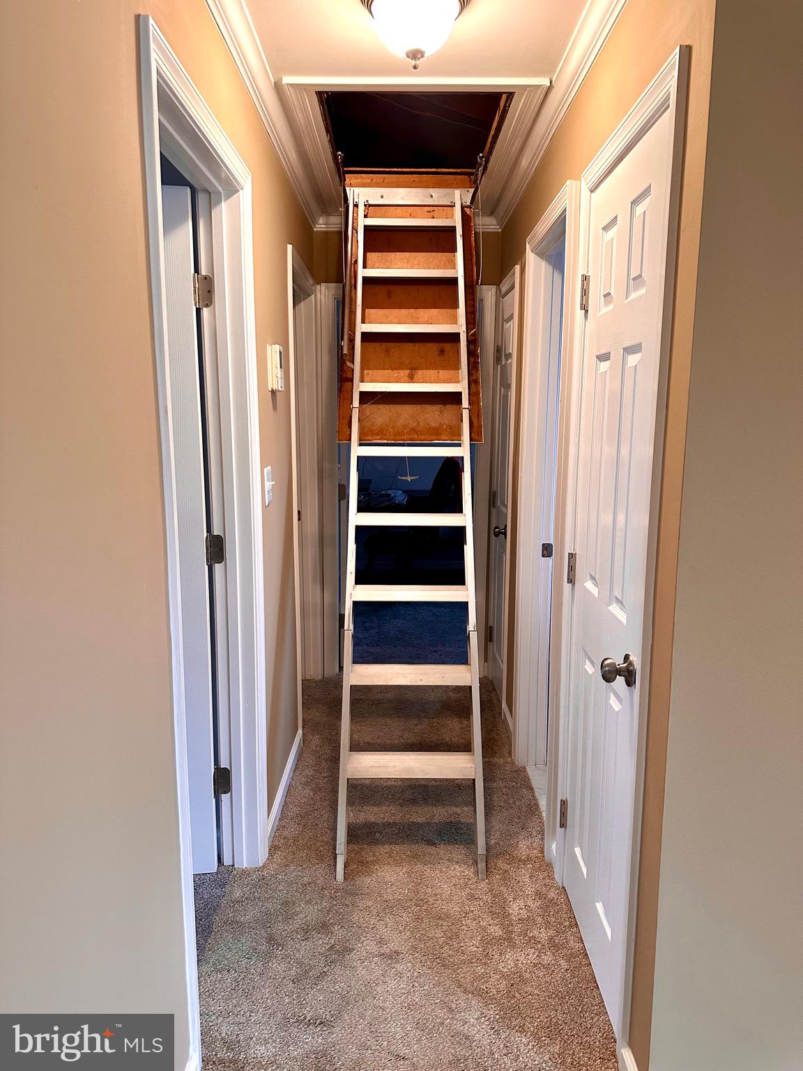 118 Allgate Road Owings Mills, MD 21117 - Photo 21 of 32
