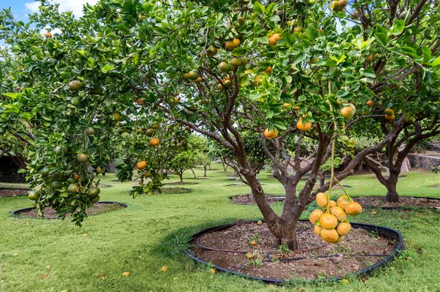 $3,400,000 | 75-399 Wehilani Drive, Kailua-Kona, HI 96740