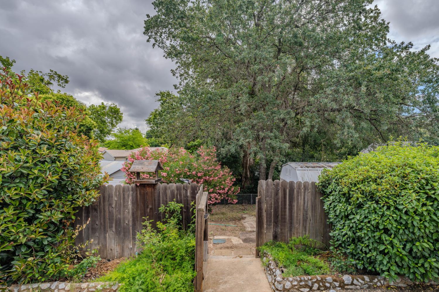626 Sutter Lane Ione, CA 95640 - Photo 18 of 21 a view of street along with trees