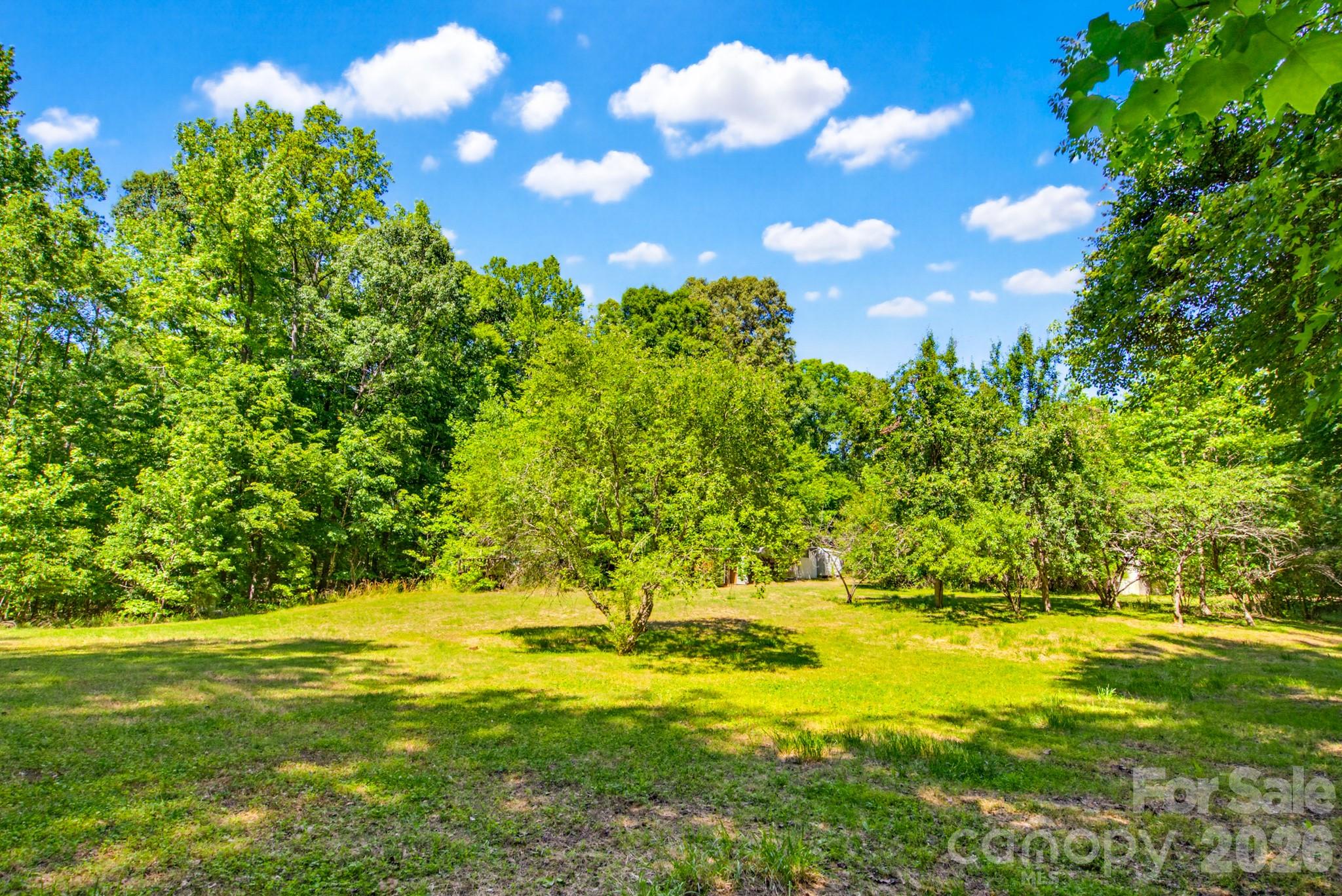 2239 Capps Road York, SC 29745 - Photo 11 of 32