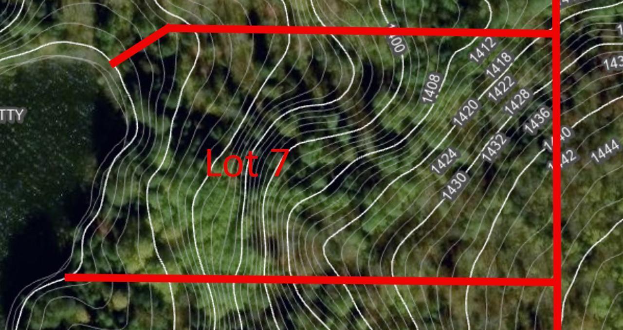 Lot 7 Wakemup Narrows Street North Cook, MN 55723 - Photo 10 of 10