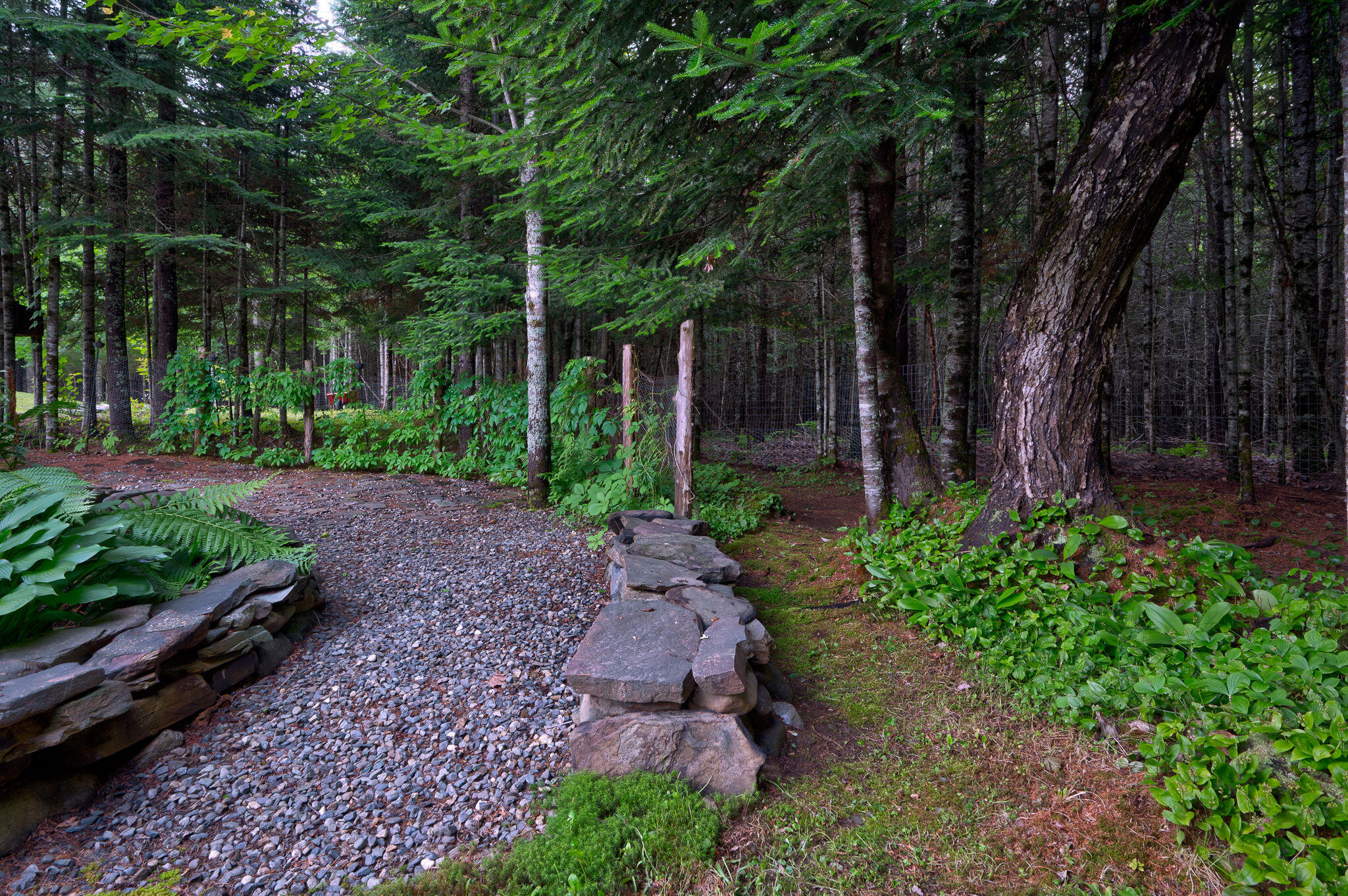 178 Kennebago Road Stratton, ME 04982 - Photo 32 of 125 178_Kennebago-073