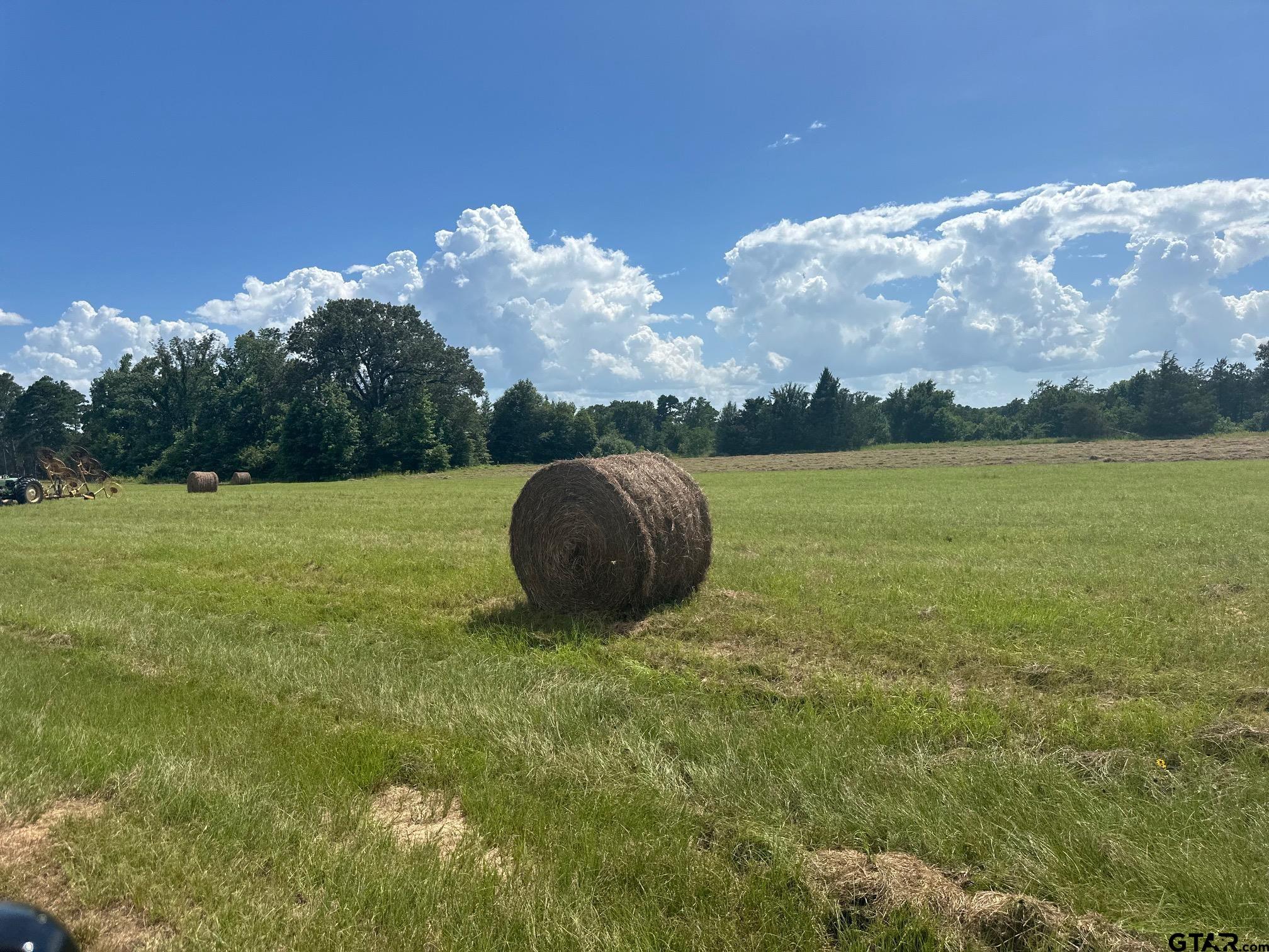 16611 Old Noonday Road Tyler, TX 75703 - Photo 31 of 46 a view of a field with an ocean