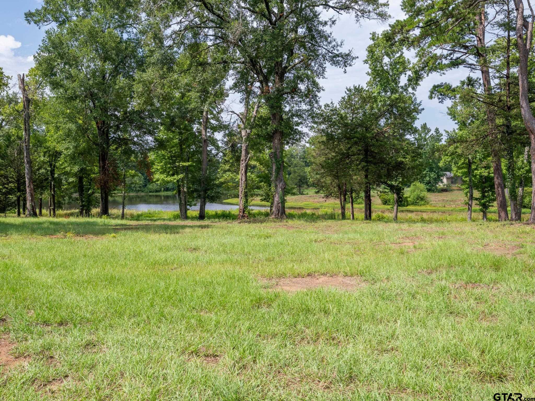 16611 Old Noonday Road Tyler, TX 75703 - Photo 32 of 46 a huge green field with lots of trees
