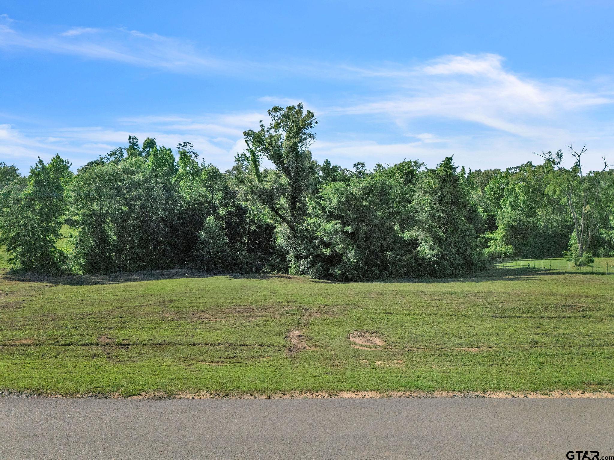 16808 Ridgeline Loop Winona, TX 75792 - Photo 11 of 12 a view of a field with an ocean