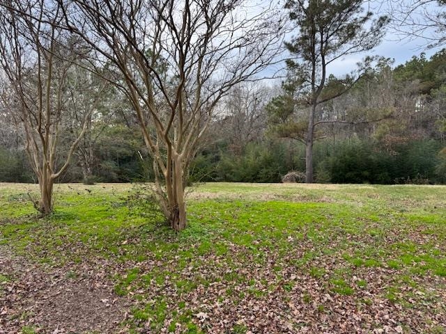 110 Levoid Road Bolivar, TN 38008 - Photo 19 of 22 a view of backyard with large trees