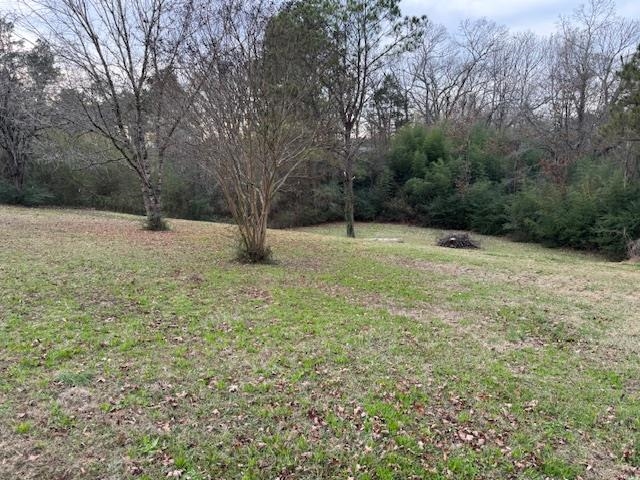 110 Levoid Road Bolivar, TN 38008 - Photo 20 of 22 a backyard of a house with lots of green space