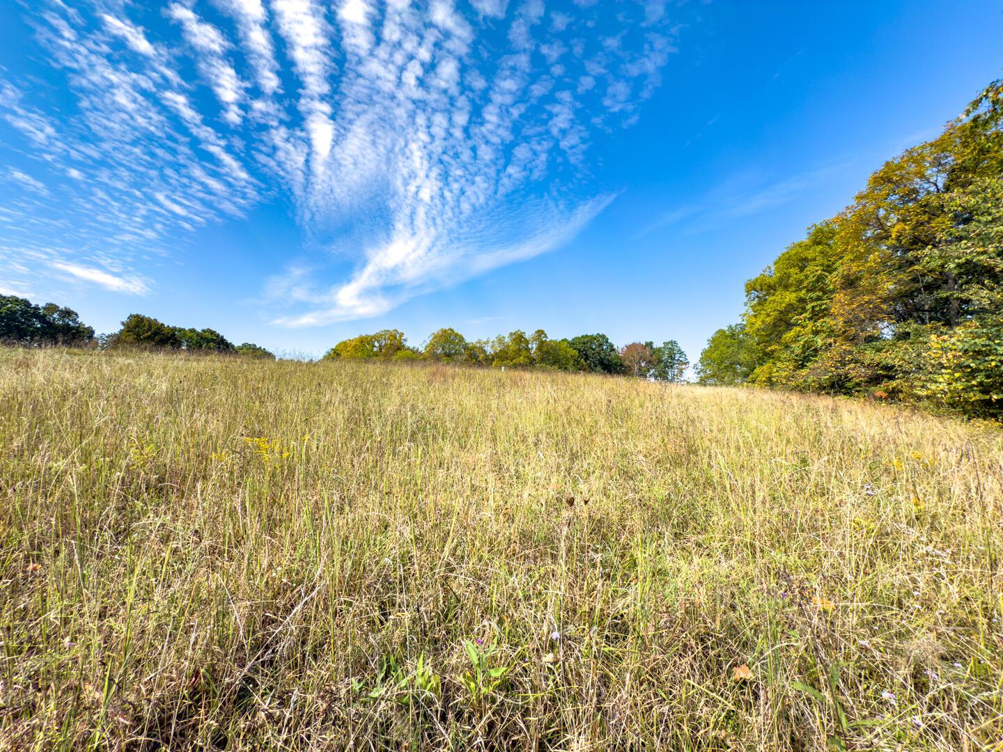 4 Perry Ridge Road Wilkesville, OH 45695 - Photo 6 of 12 Perry Ridge Rd; 2.5 ac-3369