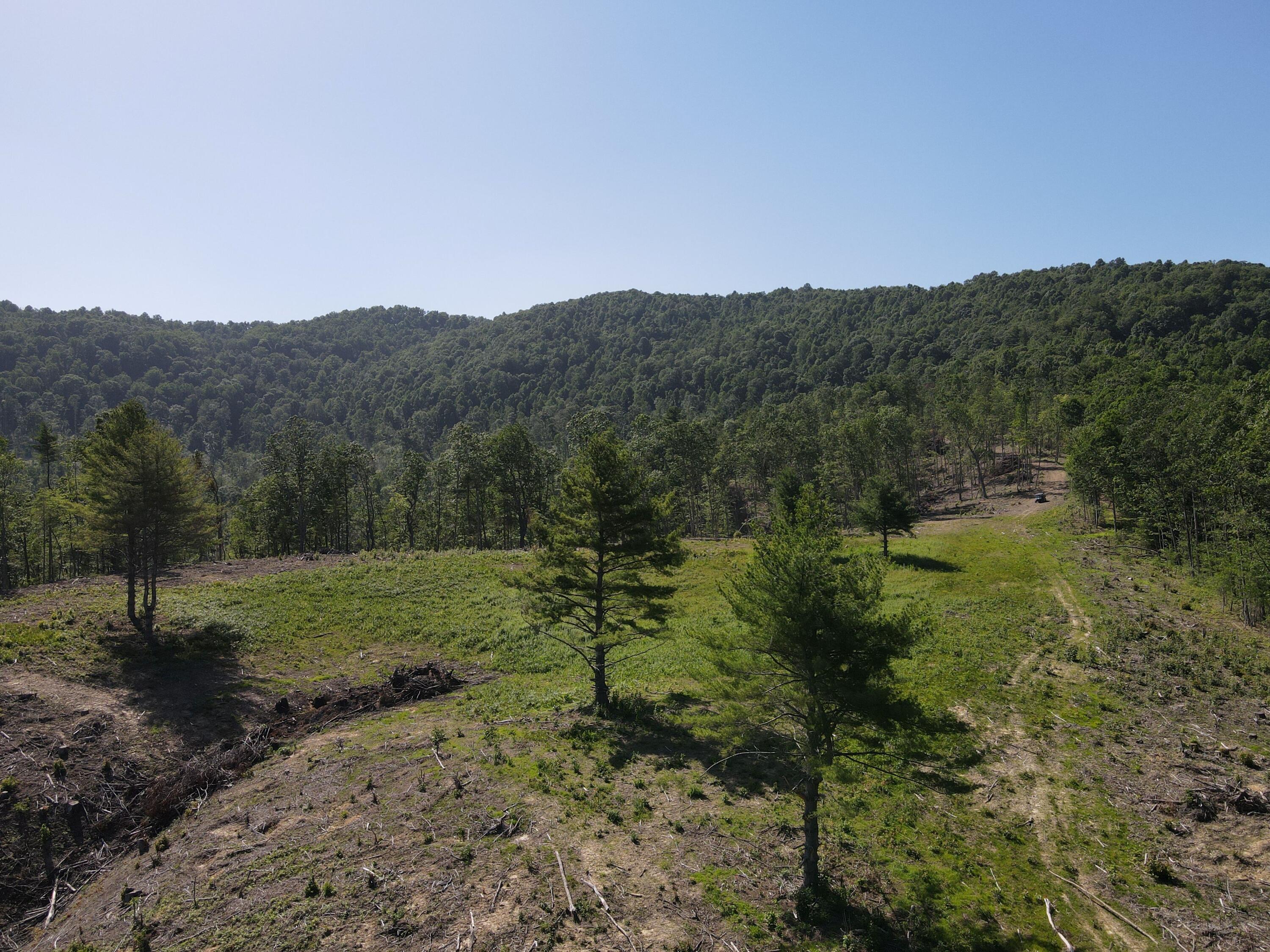 Suck Creek Road Jumping Branch, WV 25969 - Photo 5 of 52 Gallery Image 5