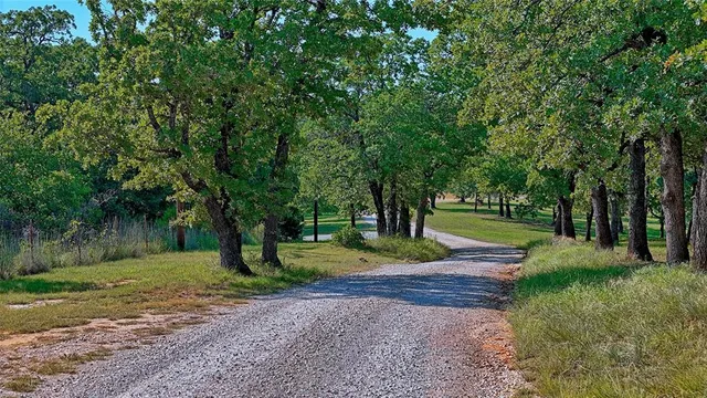 a view of a park with tree s