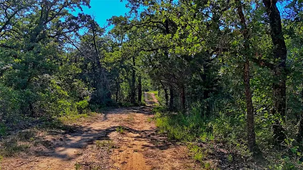 a big yard with lots of green space and deers