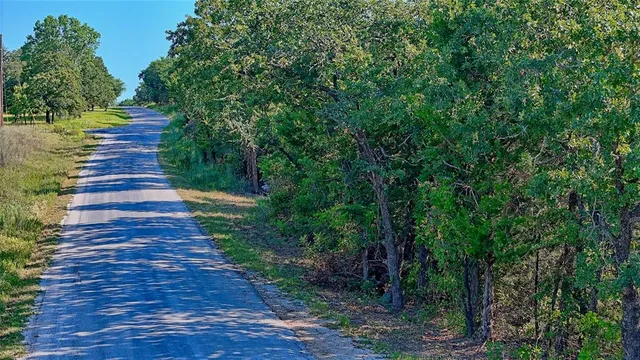 a view of a pathway of a park