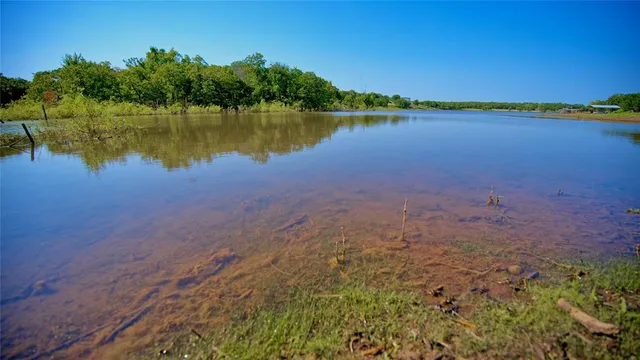 a view of a lake with houses in the background