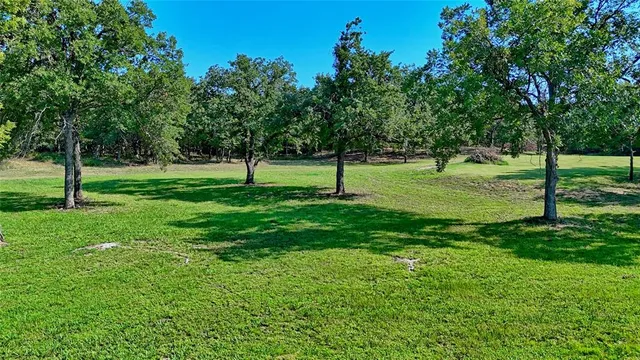 a view of park space and garden
