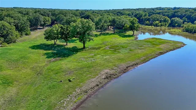 a view of backyard with large trees