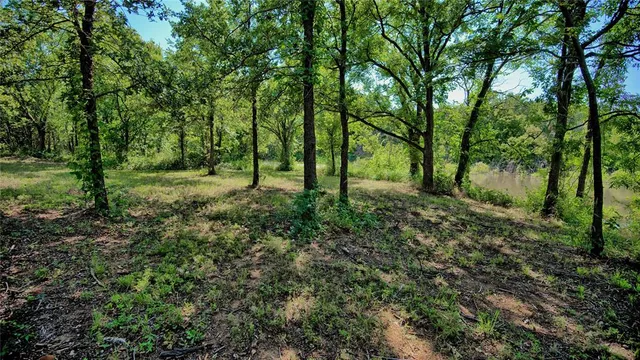 a big yard with lots of green space and trees