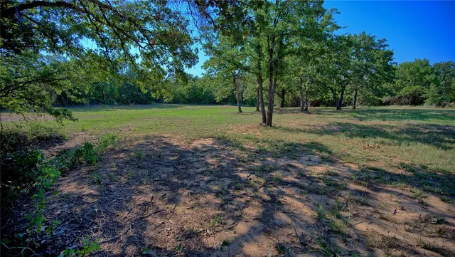 a view of outdoor space with trees all around