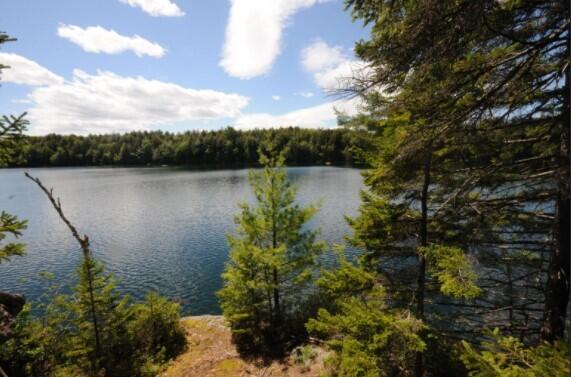 Lot 51 Ledges Way Dedham, ME 04429 - Photo 6 of 11 Screenshot 2021-10-13 081158
