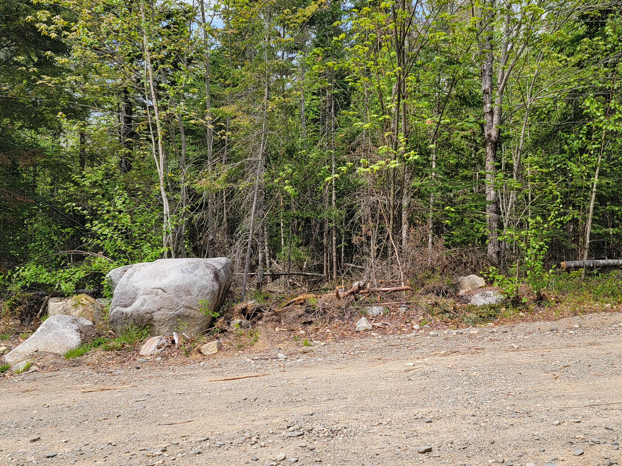 Tbd Tbd Cobb Cove Road Lincoln, ME 04457 - Photo 3 of 14 20230515_125553